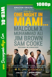  Una noche en Miami (2020)