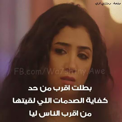    shof_521e462885daeed