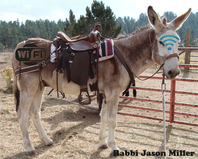 Wi-Fi Connection on a Donkey