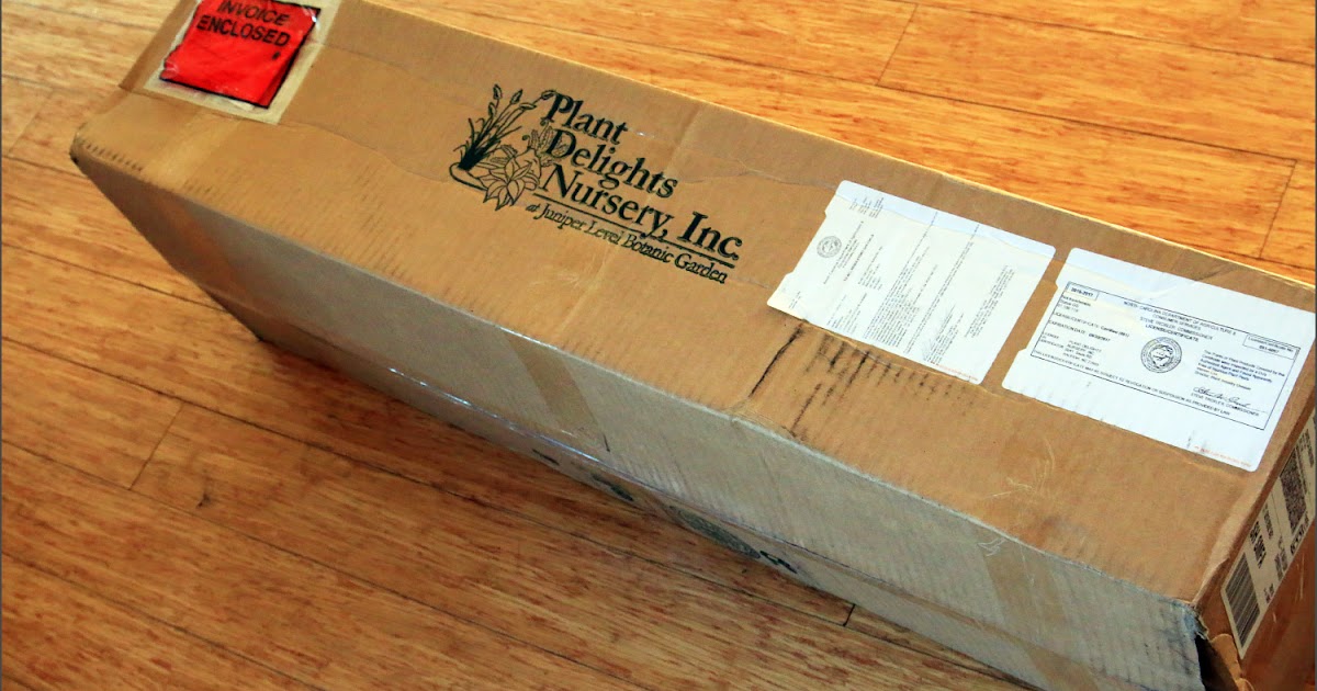 Agave order from Plant Delights Nursery