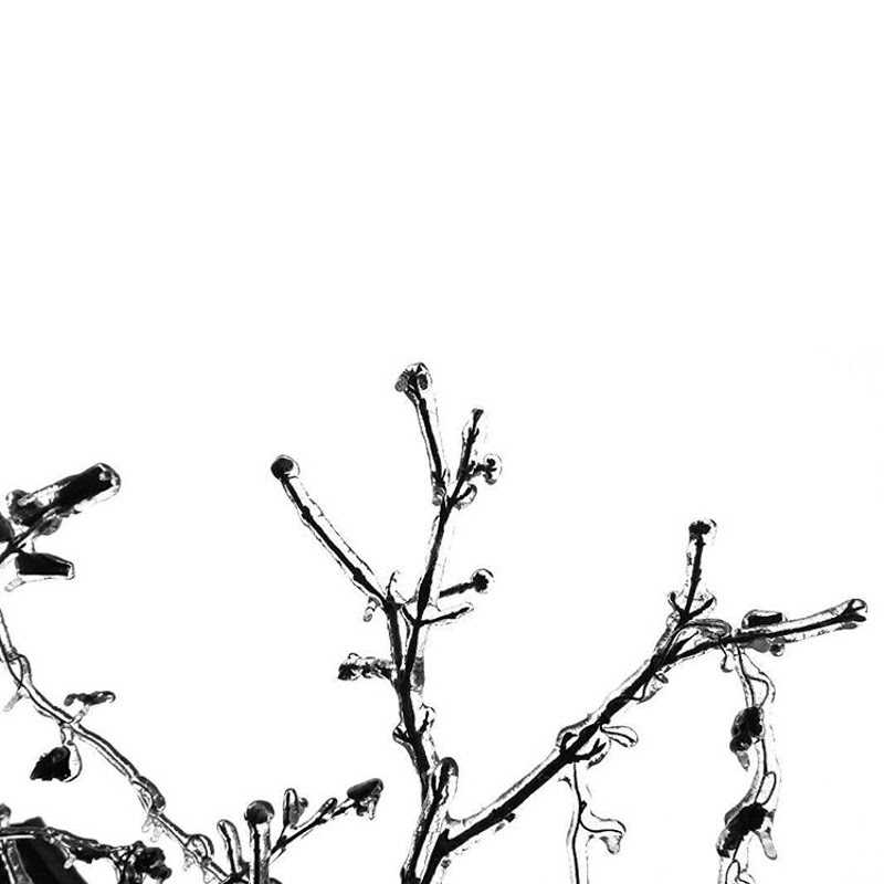 Nature by Minimalist Photographer Karin Hetzlinger from Austria.