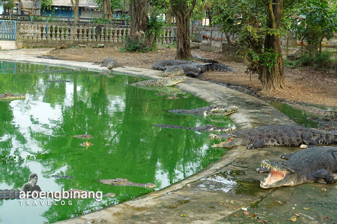 taman buaya indonesia jaya bekasi