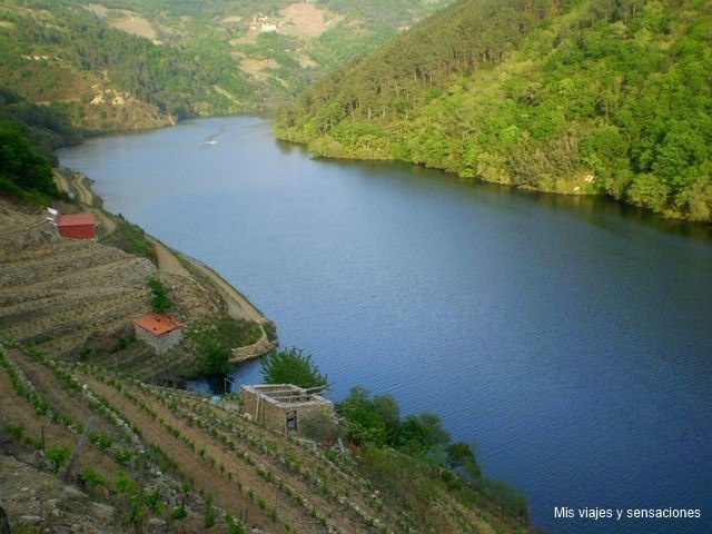 Río Miño, Ribeira Sacra, Galicia