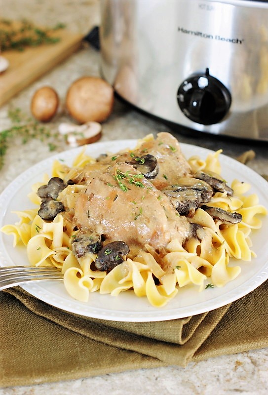 SLOW COOKER CHICKEN STROGANOFF Allope Recipes