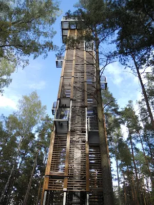 Things to do near Riga: Observation tower in Dzintari Forest Park