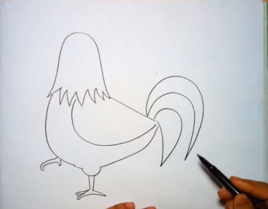 24 Gambar Cara Lukis Ayam 24 Gambar Cara Lukis Ayam