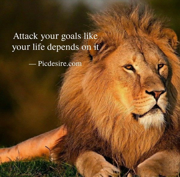 Lion Quotes For Strong Life 30 Motivational Lion Quotes For A Strong Life – Picdesire.com