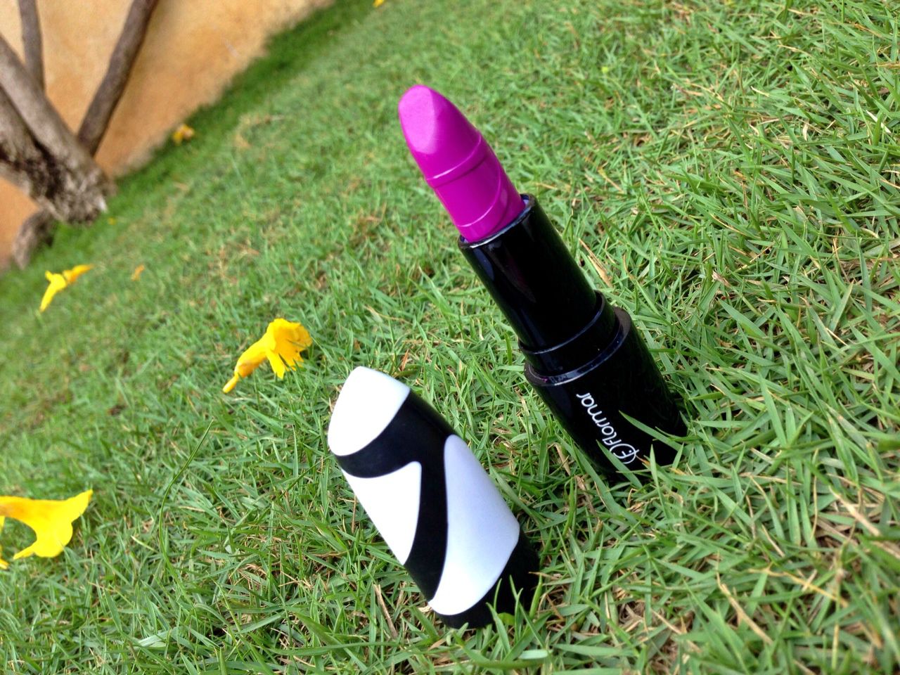 flomar lipstick review R09