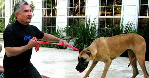 Https Www Strickhof Ch Medium Php Id 93437 Path Userfiles Cms 93437 Strickhof Jahresbericht 2018def Web Pdf