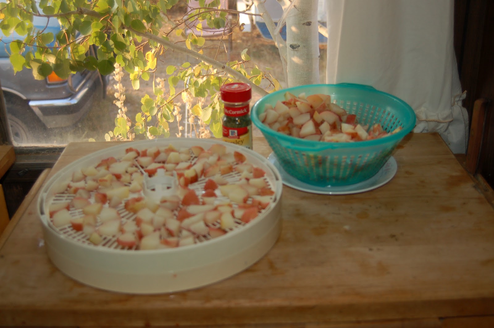 Dehydrating Way Beyond Jerky Dehydrated Parsley Potatoes