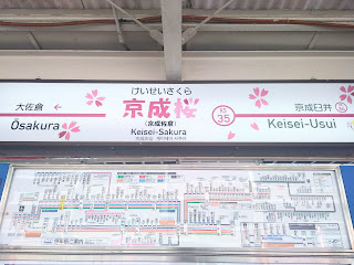 桜に染まる街　京成佐倉駅