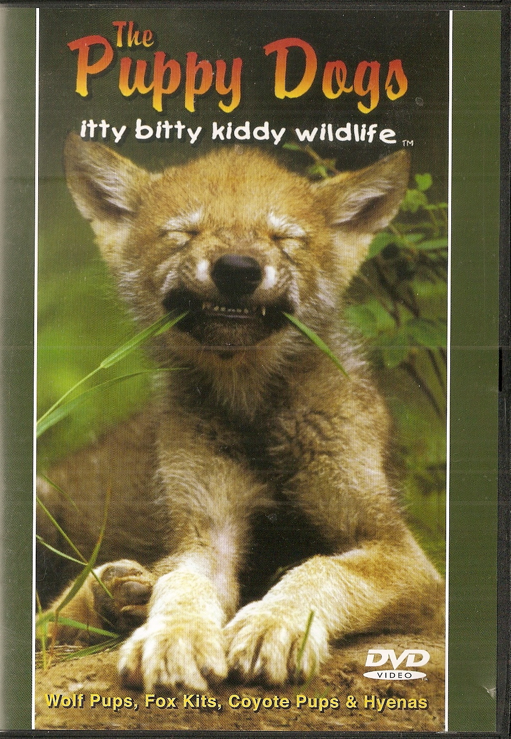 Walking by the Way CTG Weeks 910