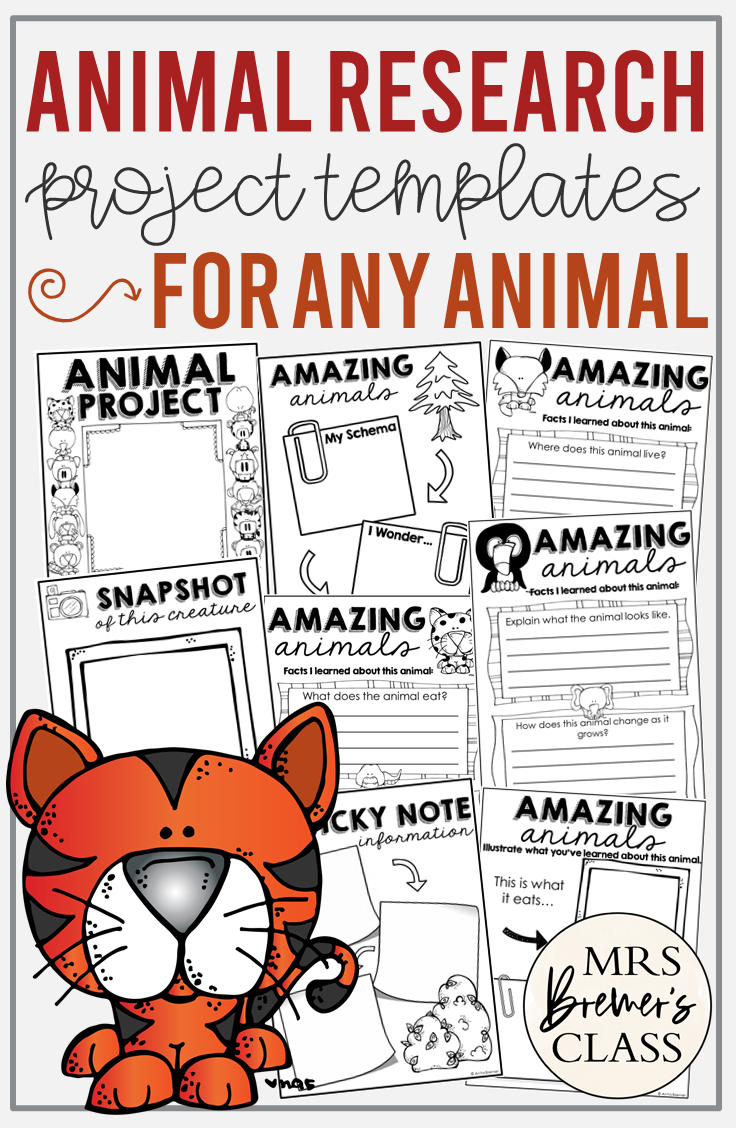 animal research projects for elementary students