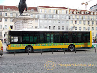 transportes online