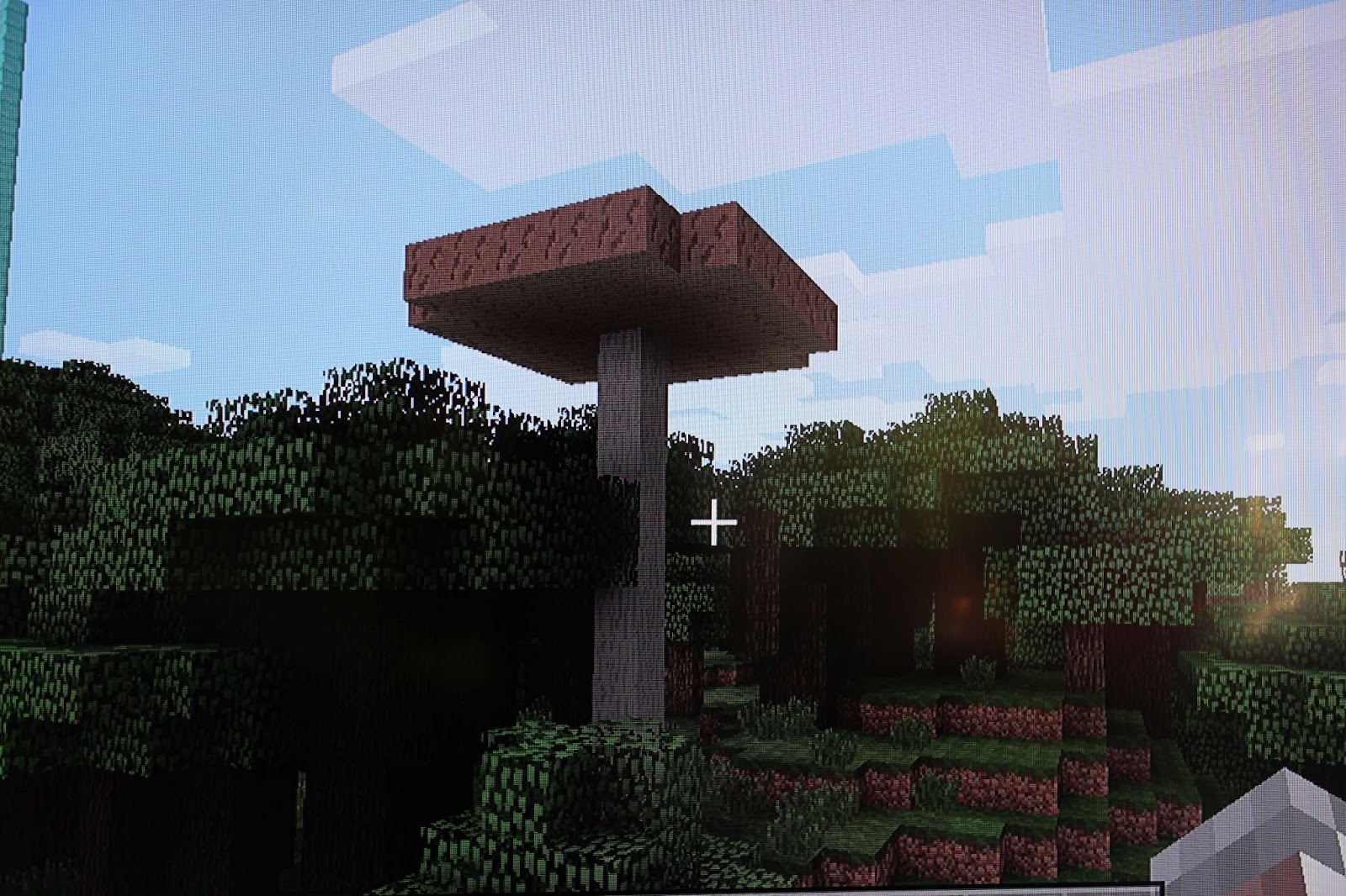 Dude Baby Girl Minecraft Biomes