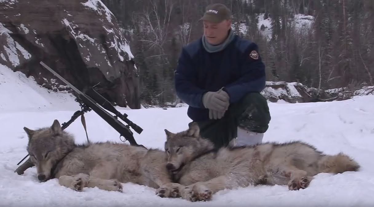 Смотреть фильм проект охота на волков