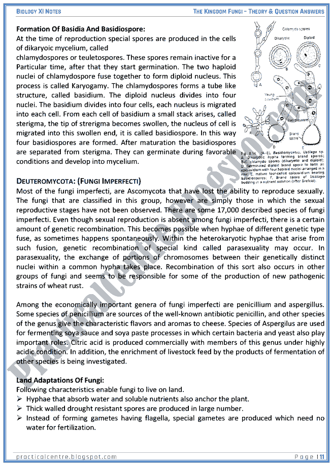 Kingdom Fungi Theory And Questions Answers Biology XI Practical