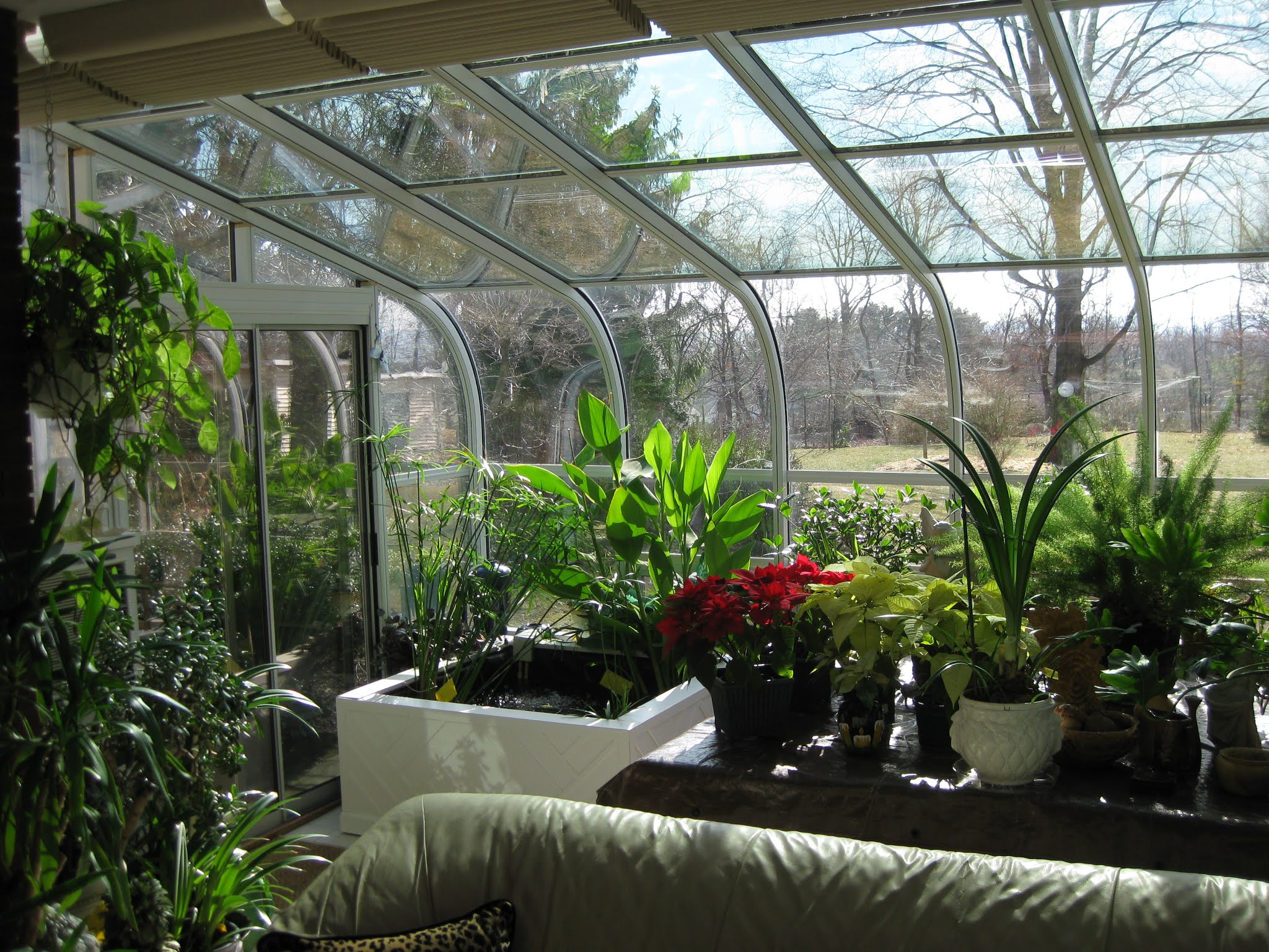 Turning your Sunroom into a Greenhouse