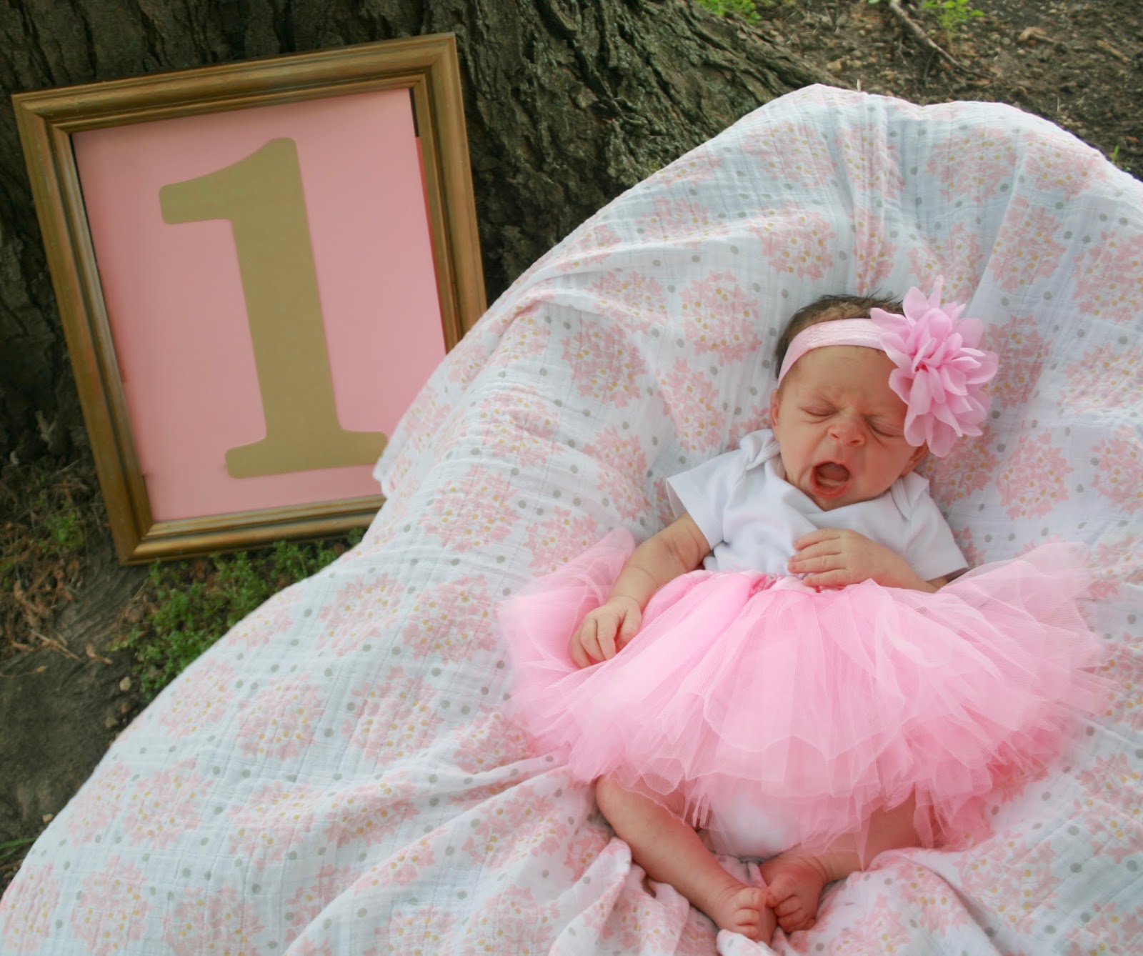 Amy's Creative Pursuits One Month Old Baby Photo Shoot