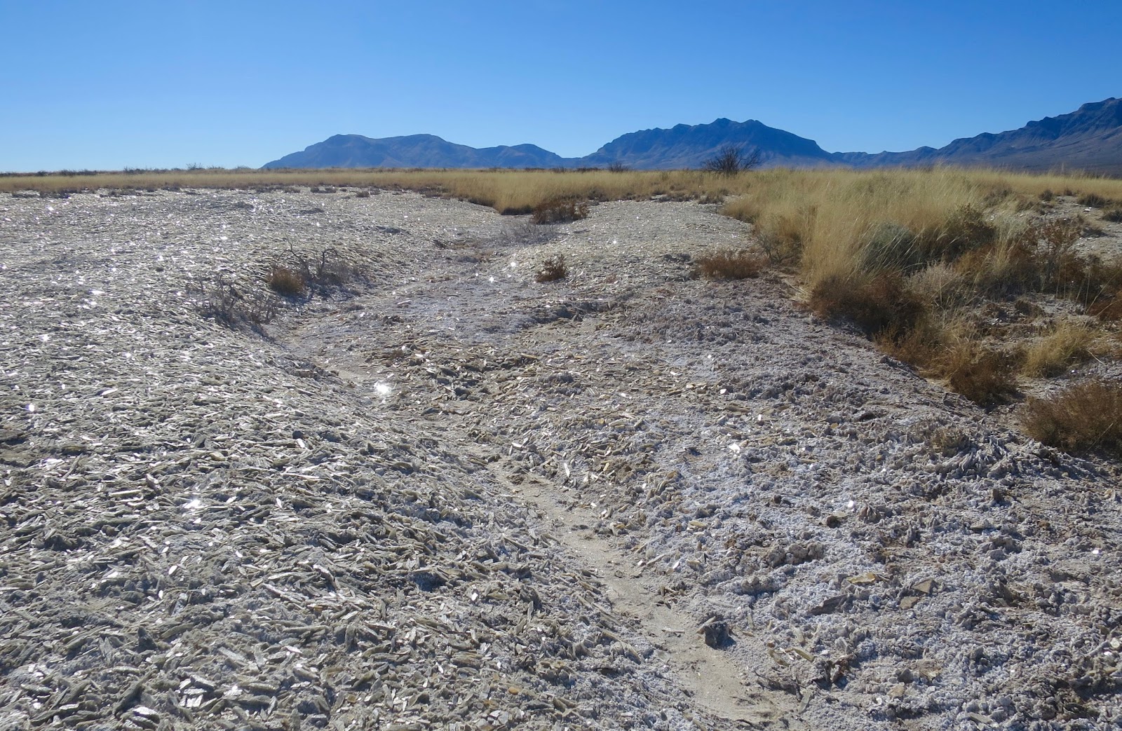 Rambling Hemlock Lake Lucero in White Sands National Monument