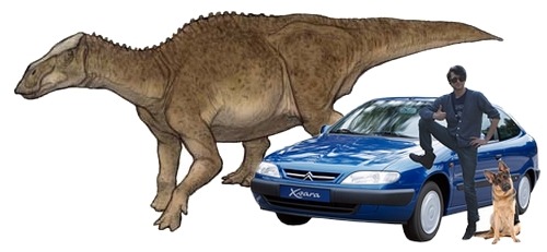 News In Proteomics Research Dinosaur Protein Sequencing News In Proteomics Research Dinosaur Protein Sequencing