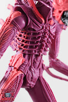 NECA Xenomorph Warrior Arcade Appearance 08
