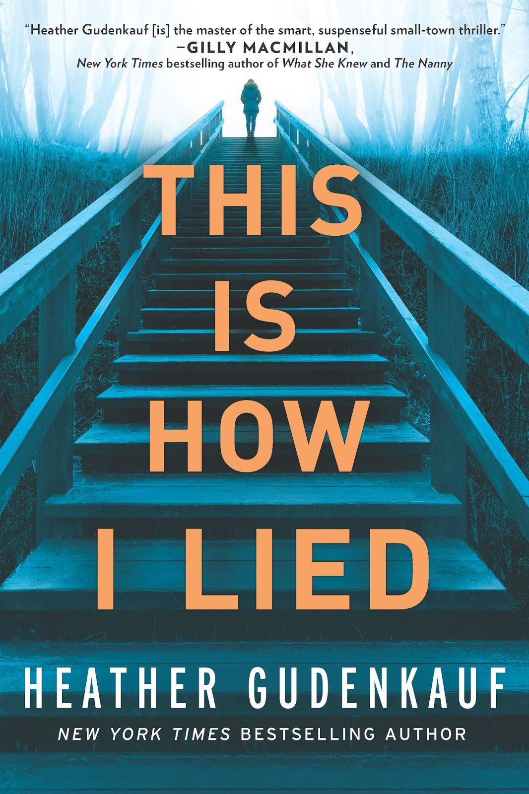 Blog Tour & Review: This Is How I Lied by Heather Gudenkauf