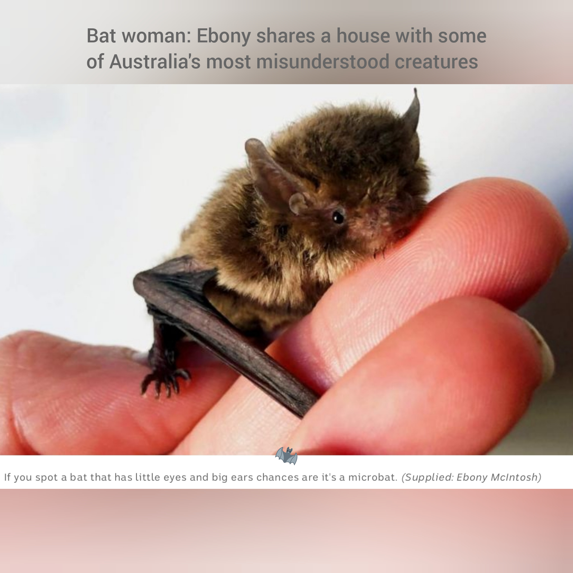 Bat woman Ebony shares a house with