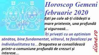 Horoscop februarie 2020 Gemeni 