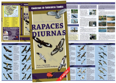 Libro: Rapaces diurnas. Introducción a las especies ibéricas