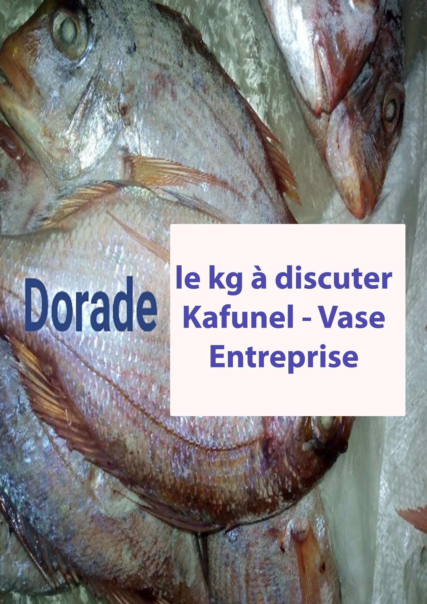 Ne plus avoir Peur de l'échec Mareyeur de Poissons et toutes espèces