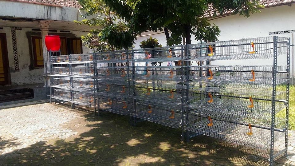 KANDANG PUYUH GALVANISH