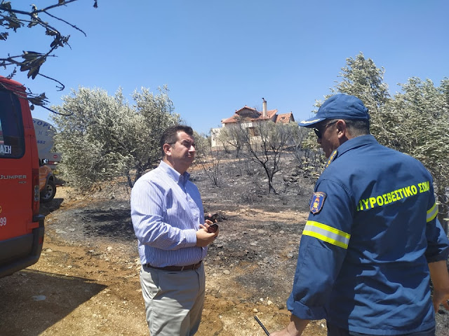 Πυρκαγιά στην Αργολίδα - Υπο έλεγχο η κατάσταση - Παραμένουν όλες οι δυνάμεις για τυχόν αναζωπύρωση Πυρκαγιά στην Αργολίδα - Υπο έλεγχο η κατάσταση - Παραμένουν όλες οι δυνάμεις για τυχόν αναζωπύρωση