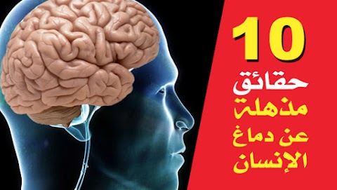 10 حقائق مذهلة عن دماغ الإنسان