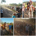 Várzea do Poço: Corrida entre duas Éguas Movimenta o Povoado do Cotovelo