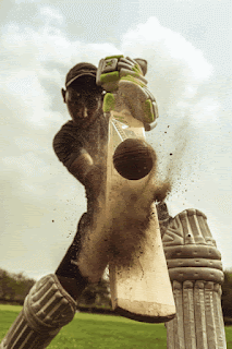 ক্ৰিকেট খেলৰ দৰ্শক