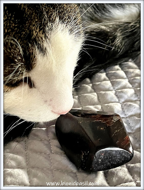 Mandalas on Monday ©BionicBasil® Colouring With Cats Mandala #121 Melvyn Inspecting the Garnet