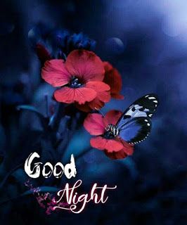 good morning love gif for whatsapp