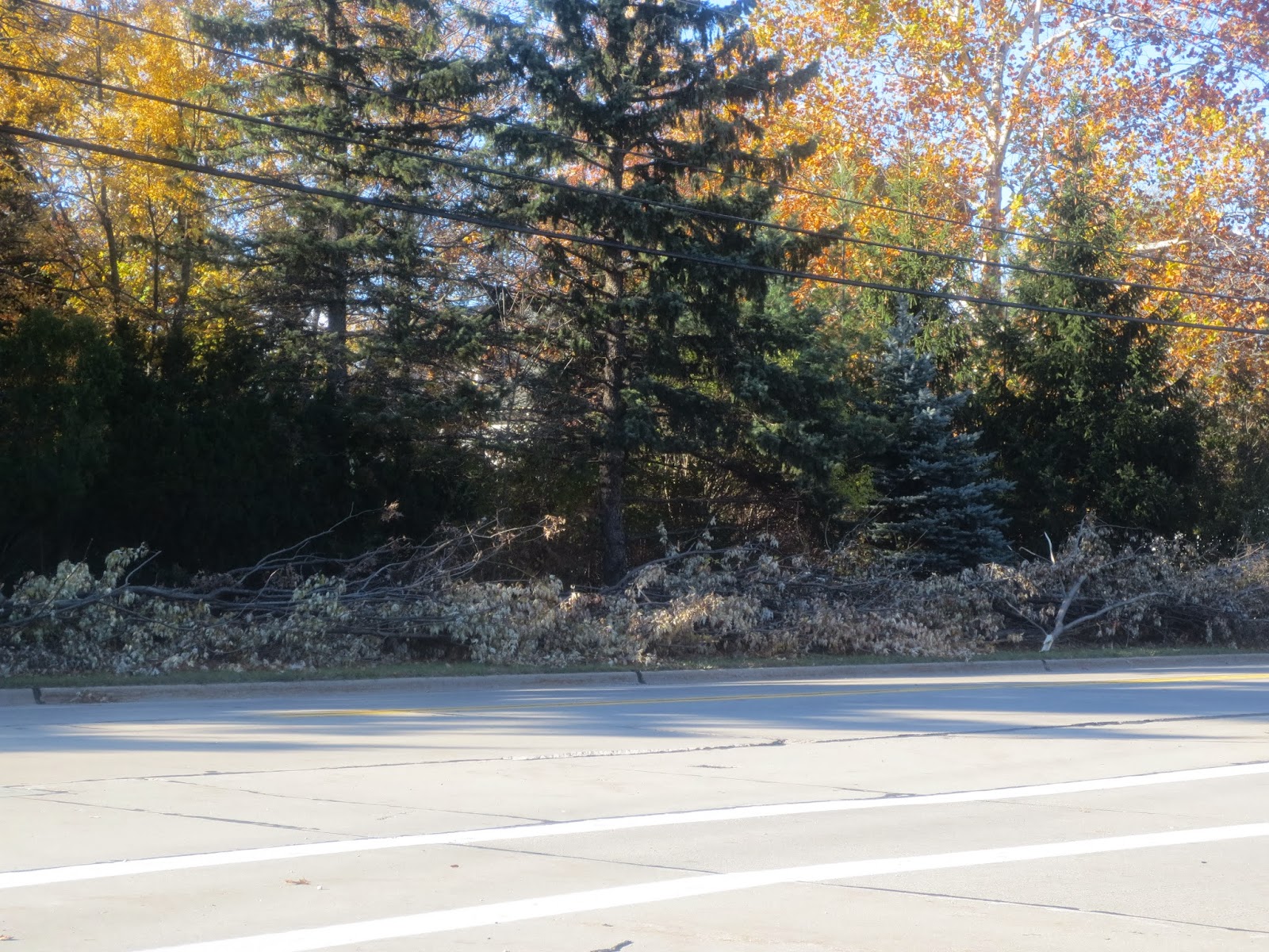 Highland Heights (Ohio) Happenings 2013