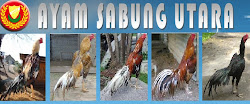 KLIK GAMBAR DI BAWAH  UTK KE BLOG AYAM BATANG KAKI