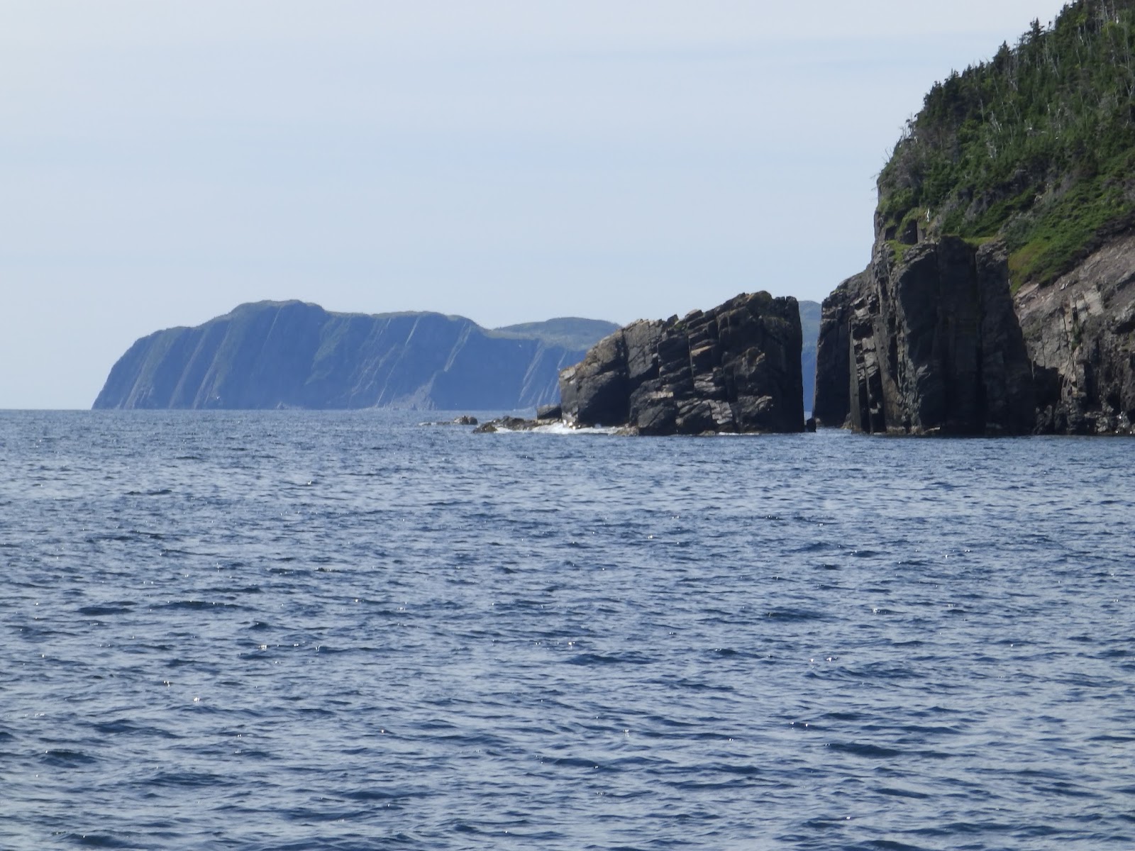 Northern Exposure 2013 Trinity Bay, Eastern Newfoundland