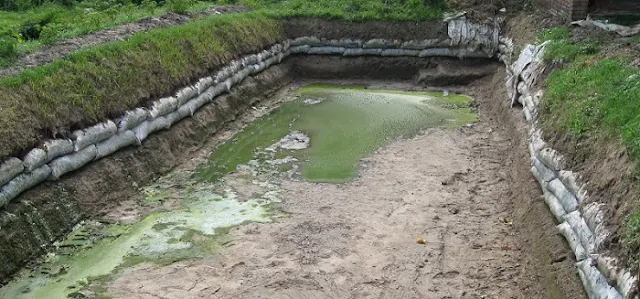 Persiapan Kolam untuk Ternak Lele - Budidaya Ikan