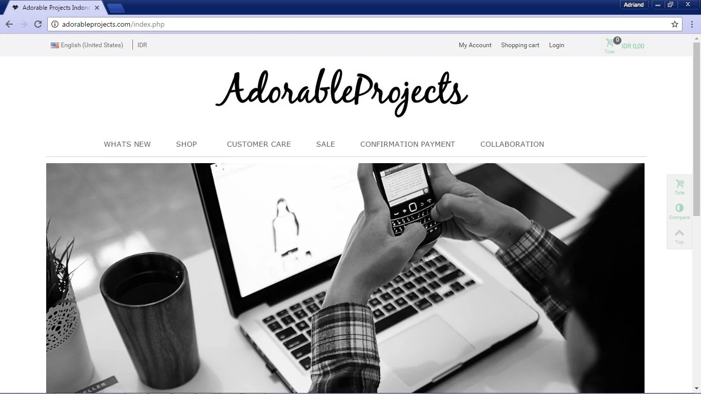 Analisa Tampilan pada Website AdorableProjects