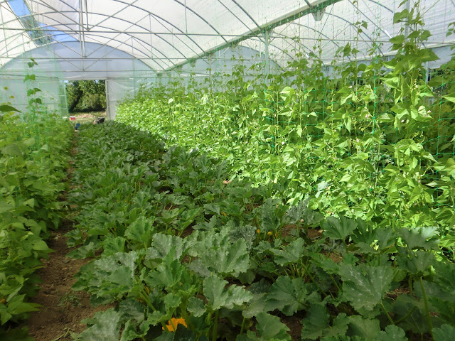 APAFAM LA HUERTA: abril 2013