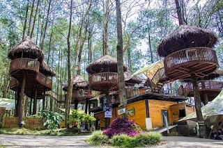 Kopeng treetop wisata adventure semarang