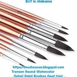 Alabama : 12 units of Transon Round Watercolor Detail