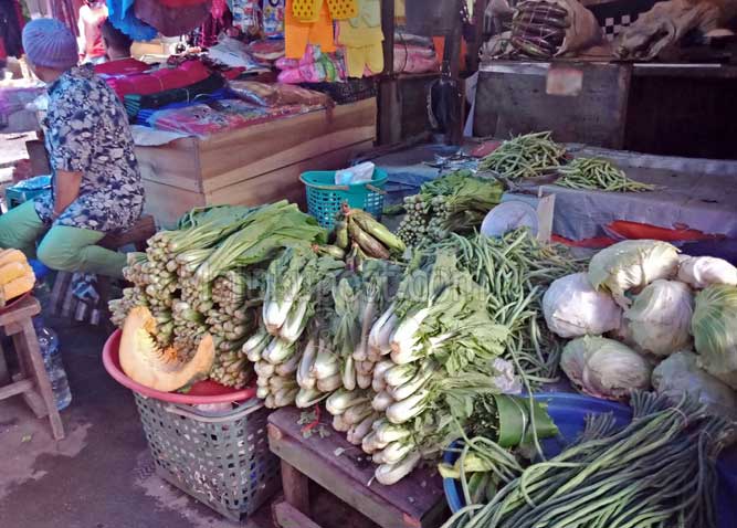 Harga Berbagai Jenis  Sayuran Produk  Lokal  Di Ambon 