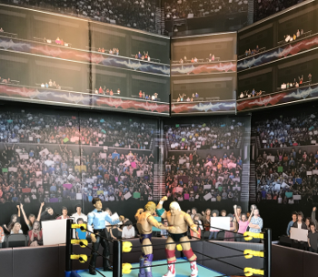 J\/\/s Wrestling Memorabilia: An Extreme Backdrop For Your Wrestling Fun