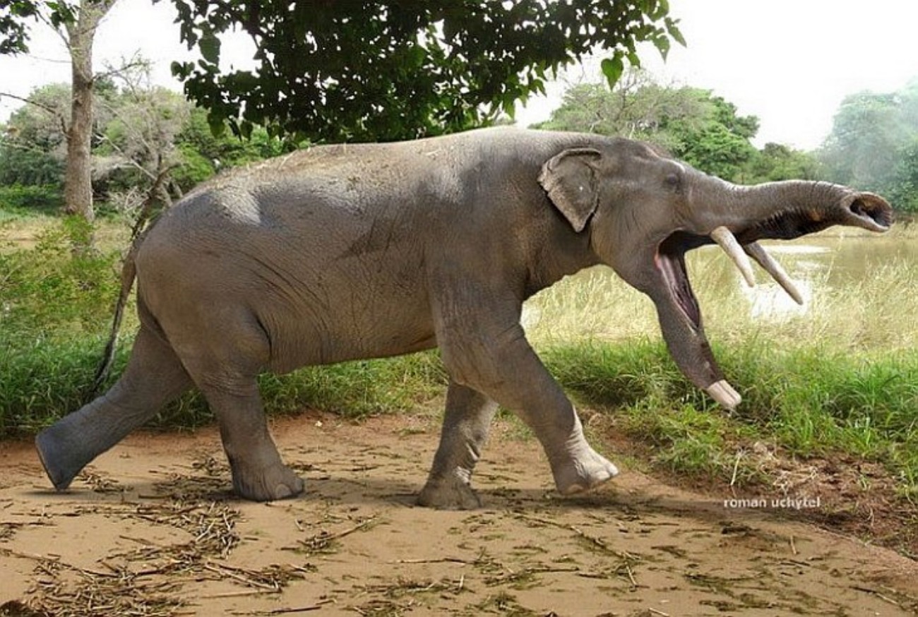 Название древнего животного. Слонопотам платибелодон. Платибелодон древний слон. Хоботных платибелодонов. Мастодонт гомфотерий.