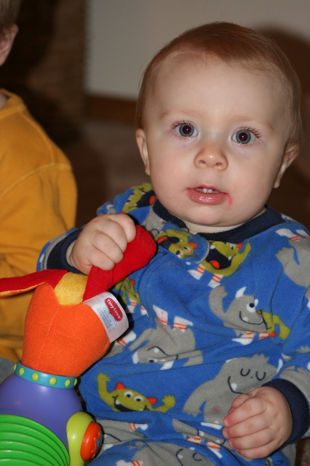 Baby Developmental Toys & Games, Tiny Love